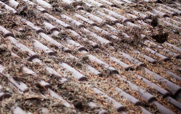 Bolam roof cleaning companies